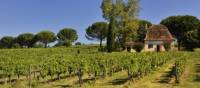 Beautiful Dordogne | Maurice Subervie