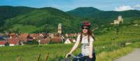 Cycling through vineyards and quaint villages in Alsace