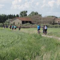 Cycling through the villages of Provence | Erin Williams