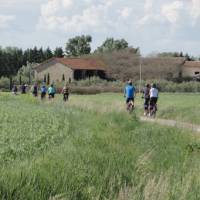 Cycling through the villages of Provence | Erin Williams