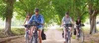 Cycling in Provence, France | Ewen Bell