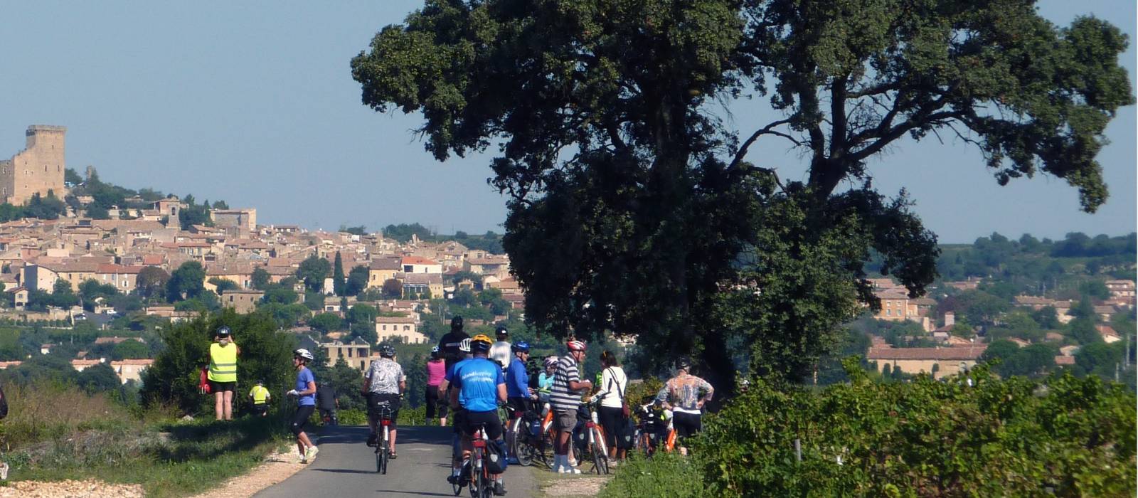 Group of cyclists on the Provence Bike and Barge trip