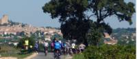 Group of cyclists on the Provence Bike and Barge trip