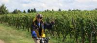 Cycling past vineyards in the Alsace region | Katie Roberts