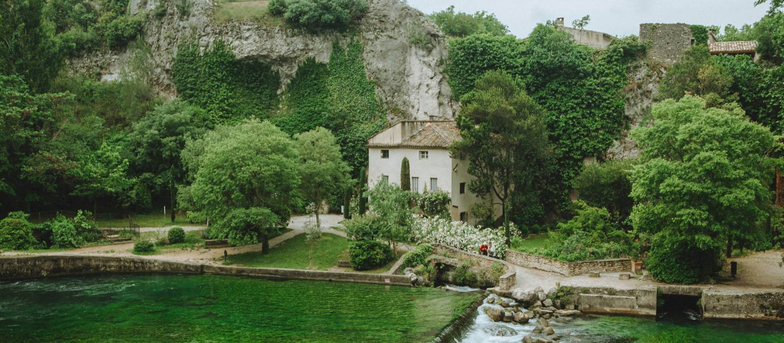 Lush greenery in L'Isle-sur-la-Sorgue, France | Chelsea Essig