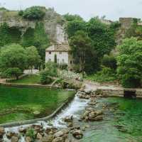 Lush greenery in L'Isle-sur-la-Sorgue, France | Chelsea Essig
