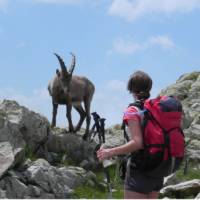 Lac Blanc, Tour Du Mont Blanc | Ray Wilkinson