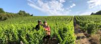 Cyclists stopping to admire a picturesque vineyard in the Loire Valley | Joycee Smith