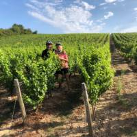 Cyclists stopping to admire a picturesque vineyard in the Loire Valley | Joycee Smith