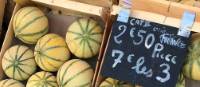 Quercy_Melons_France_Markets | Jaclyn Lofts