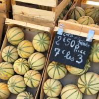 Quercy_Melons_France_Markets | Jaclyn Lofts