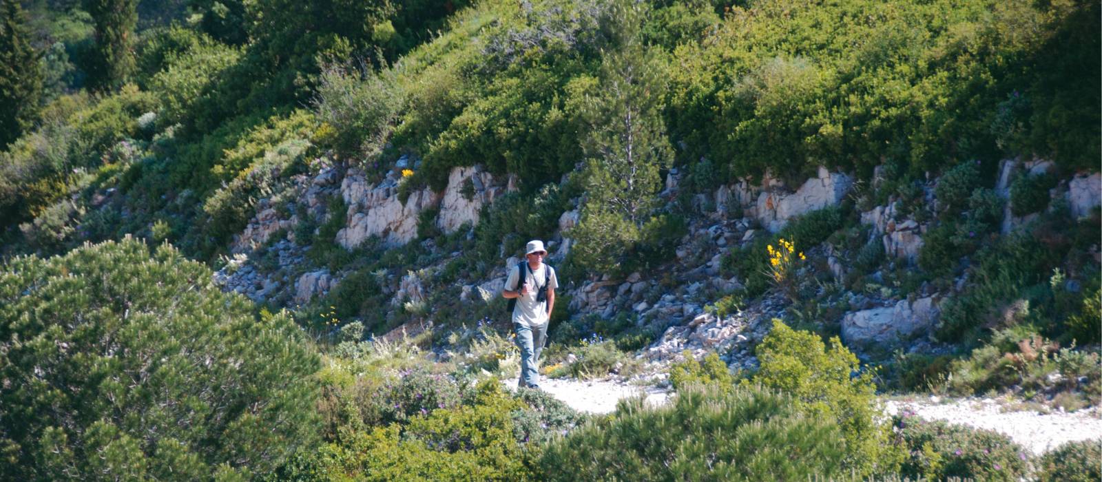 The trail from Les Baux to St Remy, across the Alpille | Rachel Imber