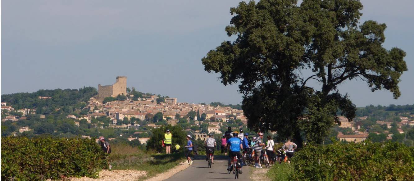 Cyclists in Provence