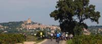 Cyclists in Provence