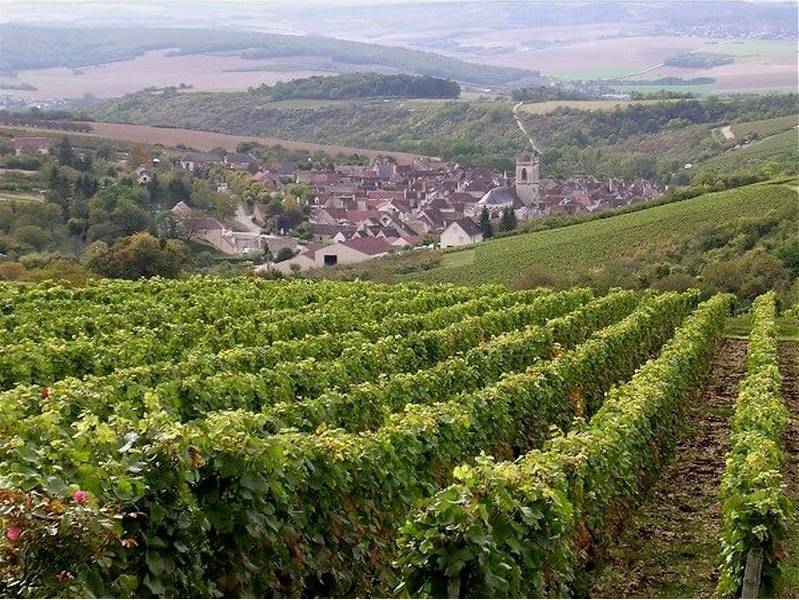Typical countryside scenery in Burgundy with vine covered hills and pretty villages