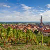 Explore the vineyards of the Alsace region in France
