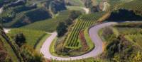 Vineyards near Breisgau alongside the Black Forest | Ernst Wrba