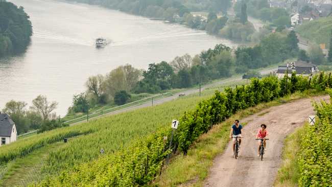 Ride through Germany's scenic wine regions along the Moselle River | Günter Standl