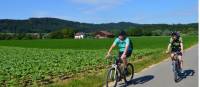 Cycling near Lake Constance |  <i>Erin Williams</i>