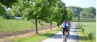 Cycling near Lake Constance |  <i>Erin Williams</i>