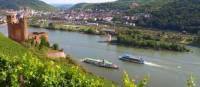 Discover Ehrenfels Castle near Rüdesheim on our Rhine Valley Bike & Barge in Germany