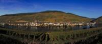 The Moselle River
