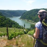 View from the trail on the Rhine