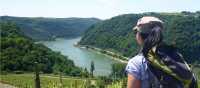 View from the trail on the Rhine