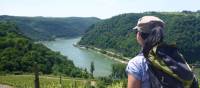 View from the trail on the Rhine