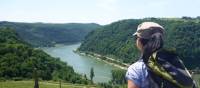 View from the trail on the Rhine