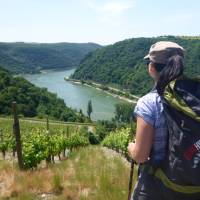 View from the trail on the Rhine