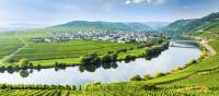 Vineyards on the Moselle river