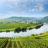 Vineyards on the Moselle river