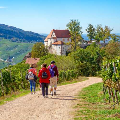 Easy walking to visit Staufenberg Castle