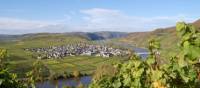 The village of Trittenheim, on the middle Moselle | Christiane Heinen