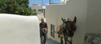 A local man navigates the narrow alleys on Pyrgos, Santorini, with his mule | Hetty Schuppert