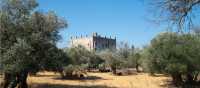 Olive trees surrounding Apano Kastro (Upper Castle) on the island of Naxos, Greece - built in 1207.