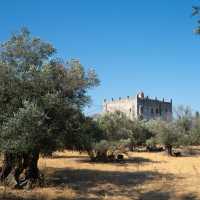Olive trees surrounding Apano Kastro (Upper Castle) on the island of Naxos, Greece - built in 1207.