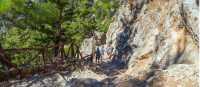 Spend the day exploring the largest gorge in Europe, the Samaria Gorge, as part of your walking holiday in Crete.