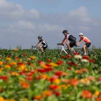 Friends cycling along a field of flowers in the Netherlands | Hollandse Hoogte