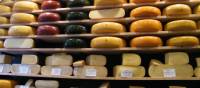 Wheel it to the cheese wheels in Gouda | Jan Shaddick