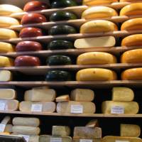 Wheel it to the cheese wheels in Gouda | Jan Shaddick