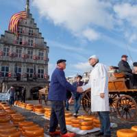 See iconic Dutch sights at the Gouda cheese market