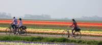 Discover Holland by bike