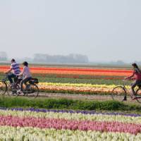 Discover Holland by bike