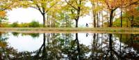 A man cycles along the Apeldoorns Canal under a colorful canopy. | Hollandse Hoogte