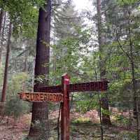 Signpost on the Pieterpad