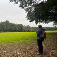 Walking quite paths though fields