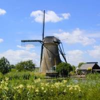 Windmills of Kinderdijk | NBTC