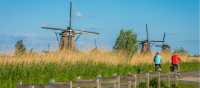 Cycle by windmills in the Kinderdijk